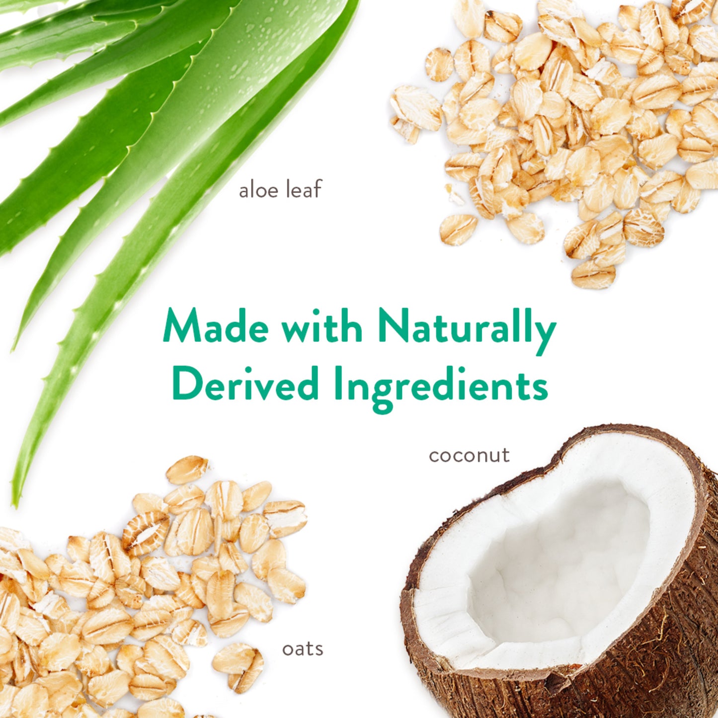 TROPICLEAN SHAMPOO GENTLE & COCONUT HYPOALLERGENIC
