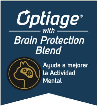 Pro Plan Gato Adulto Mayor