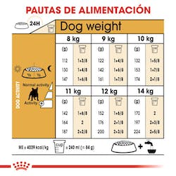 ROYAL CANIN FRENCH BULLDOG ADULTO