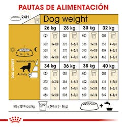 ROYAL CANIN GOLDEN RETREAVER ADULTO