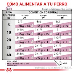 ROYAL CANIN CARDIAC CAN 410G