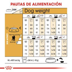 ROYAL CANIN POODLE ADULTO