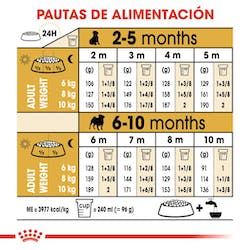 ROYAL CANIN PUG PUPPY
