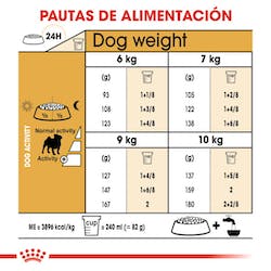 ROYAL CANIN PUG ADULTO