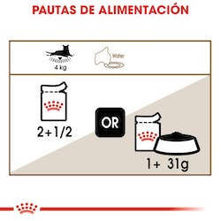 ROYAL CANIN WET AGEING +12 85G