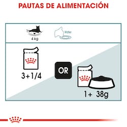 ROYAL CANIN WET HAIRBALL CARE 85G