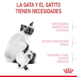 ROYAL CANIN MOTHER & BABYCAT 2kg