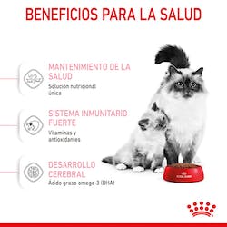 ROYAL CANIN MOTHER & BABYCAT 2kg