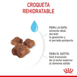 ROYAL CANIN MOTHER & BABYCAT 2kg