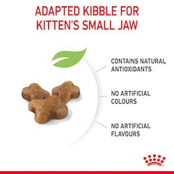 ROYAL CANIN KITTEN 2KG