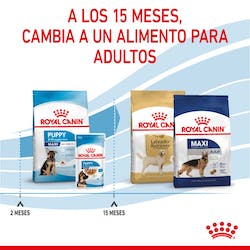 ROYAL CANIN WET MAXI PUPPY 140 gr
