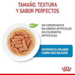 ROYAL CANIN WET MEDIUM PUPPY 140G