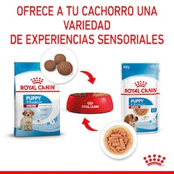ROYAL CANIN WET MEDIUM PUPPY 140G