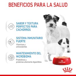 ROYAL CANIN STARTER MOUSSE