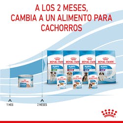 ROYAL CANIN STARTER MOUSSE