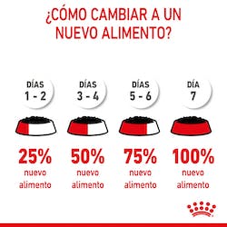 ROYAL CANIN STARTER MOUSSE
