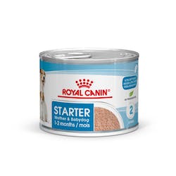 ROYAL CANIN STARTER MOUSSE