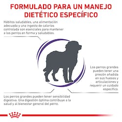 ROYAL CANIN MAXI ADULT