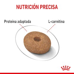 ROYAL CANIN  MINI LIGHT WEIGHT