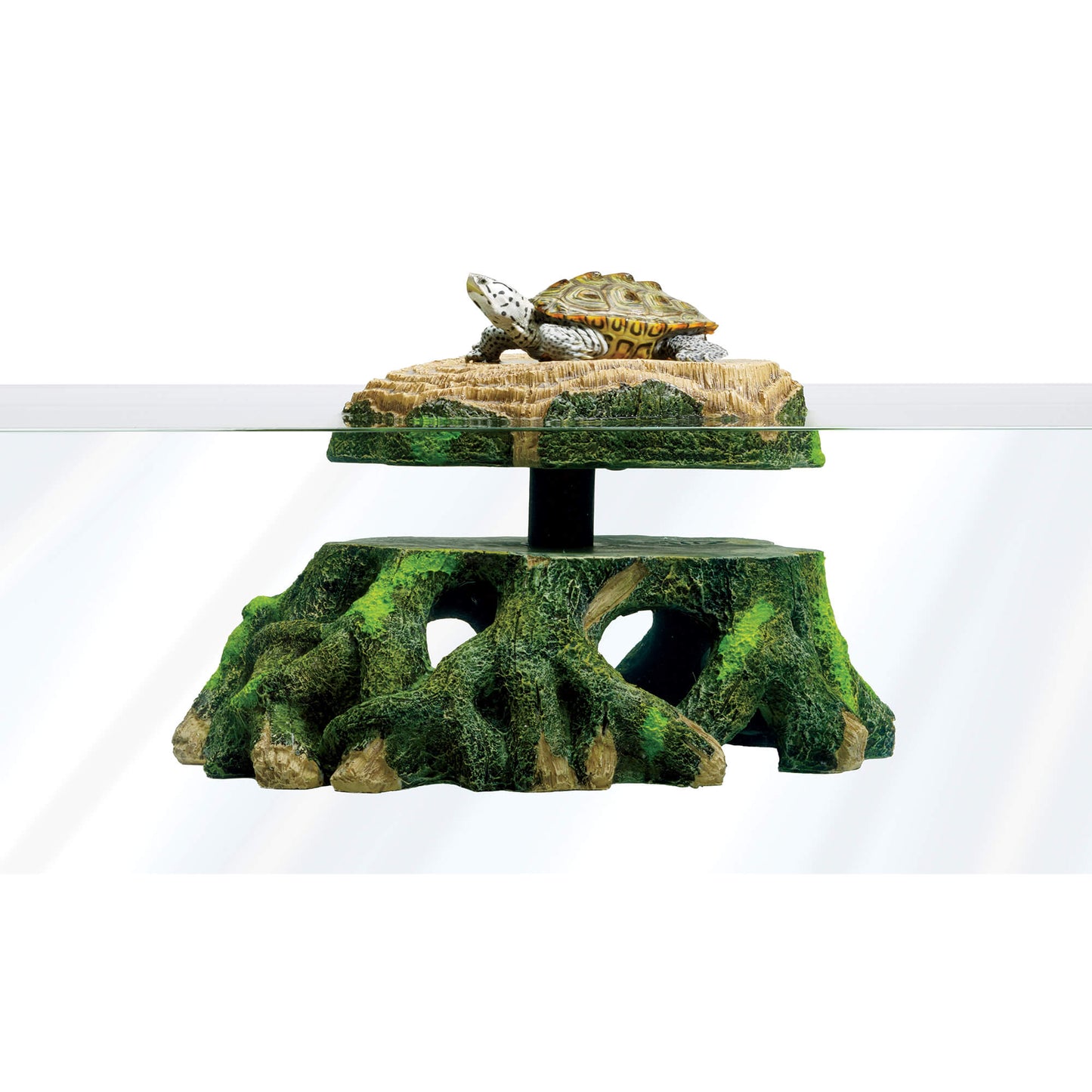 TRONCO DE TORTUGA DECORATIVA CON ELEVACIÓN ZILLA