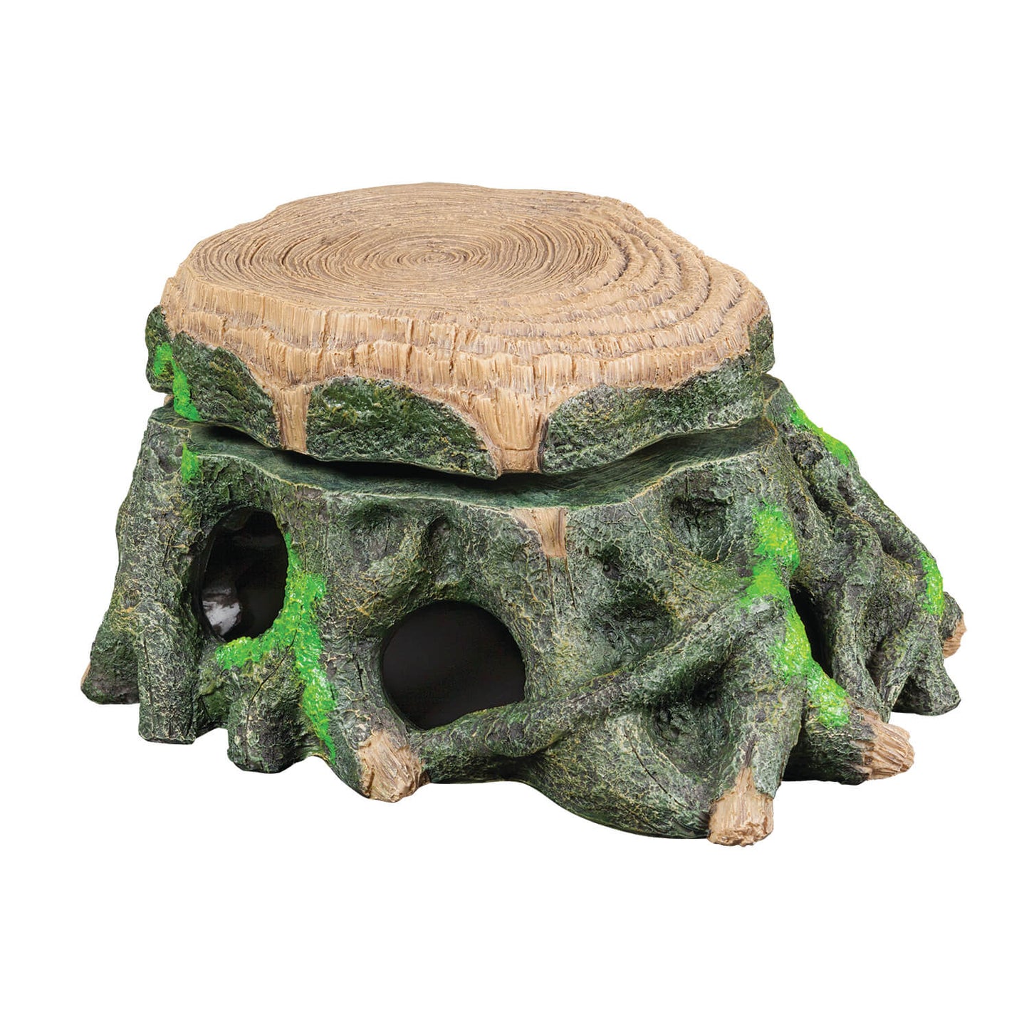 TRONCO DE TORTUGA DECORATIVA CON ELEVACIÓN ZILLA