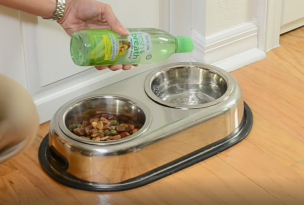 FRESH BREATH DENTAL HEALTH SOLUTION FOR DOGS
