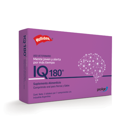 IQ 180 (Geriátrico)