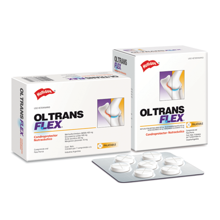 OL TRANS FLEX (Osteoarticular)