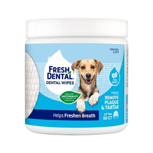 FRESH DENTAL ORAL CARE DENTAL WIPES