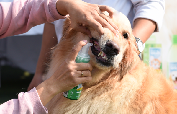 FRESH BREATH DENTAL HEALTH SOLUTION FOR DOGS
